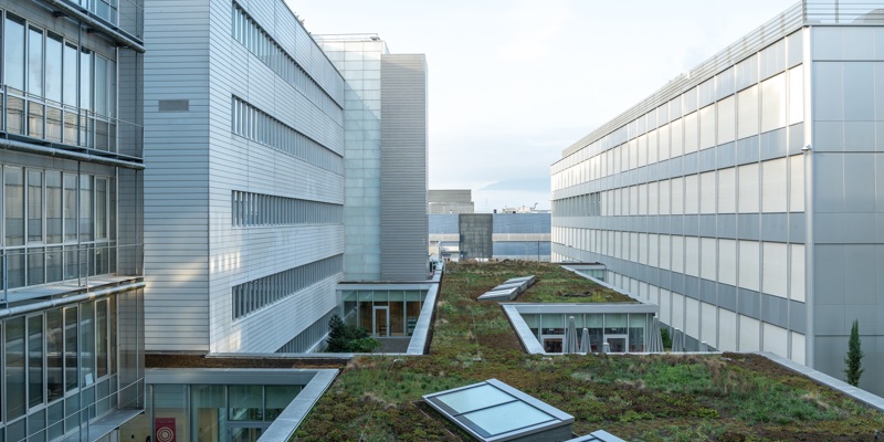 DSM and Firmenich move closer to merger with European Commission competition clearance