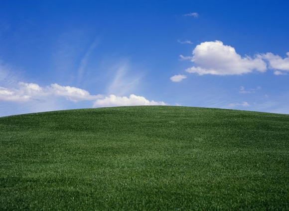 DSM awarded Carbon Trust Standard Certification