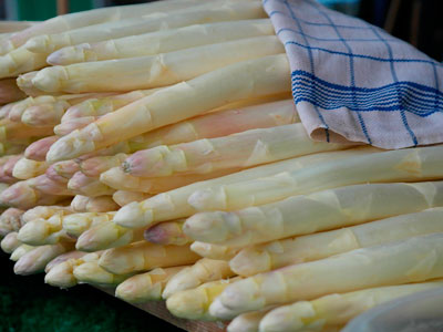 DSM confirms efficacy of Regu-Scence made from white asparagus
