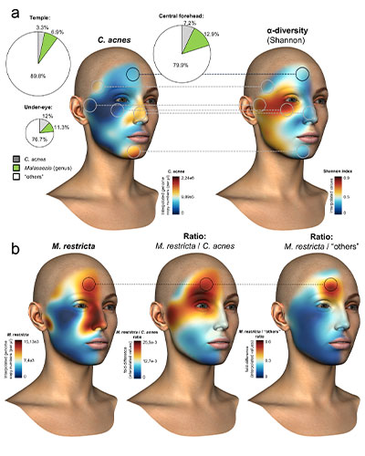 dsm-firmenich advances skin microbiome science with landmark publication on leading-edge beauty science