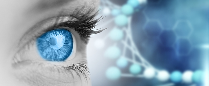 DSM to present its latest advances in skin biochemistry at IFSCC conference