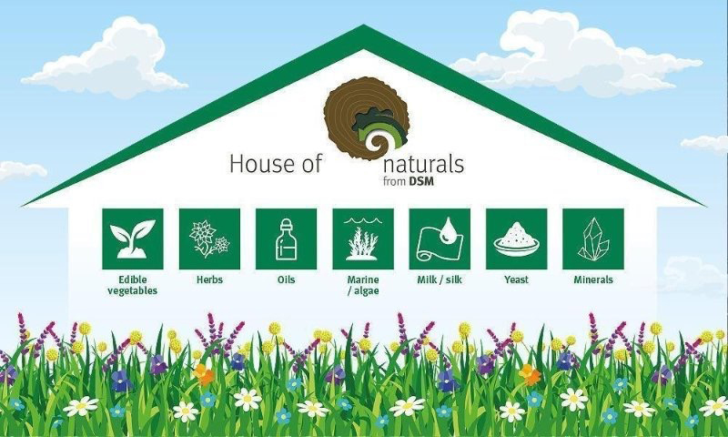 DSM to present new House of Naturals guide at in-cosmetics Brazil