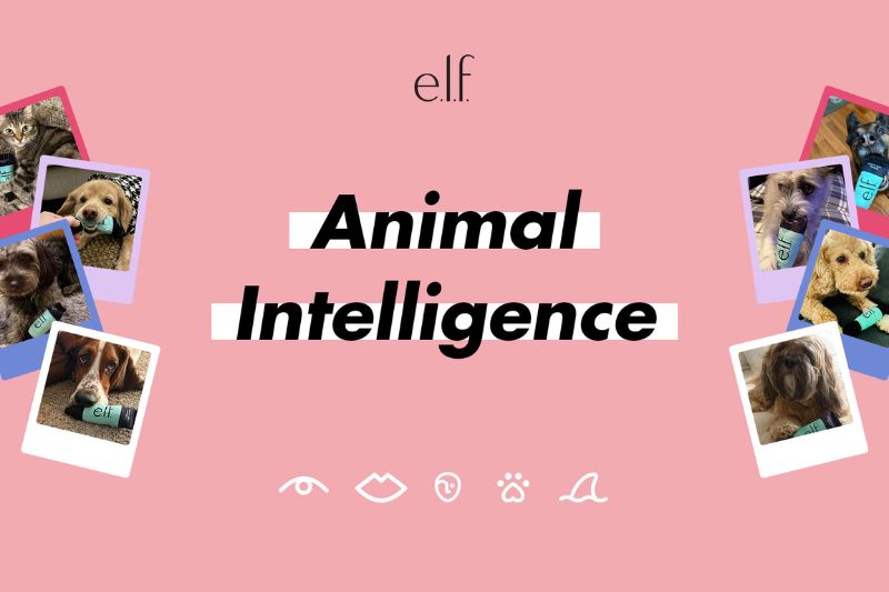 e.l.f. Cosmetics invests in animal welfare with new campaign