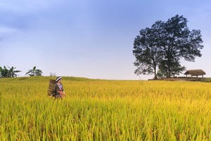 Earth mothers: The link between women and battling the climate crisis 