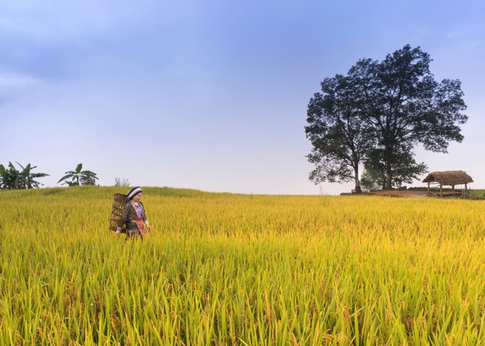 Earth mothers: The link between women and battling the climate crisis 