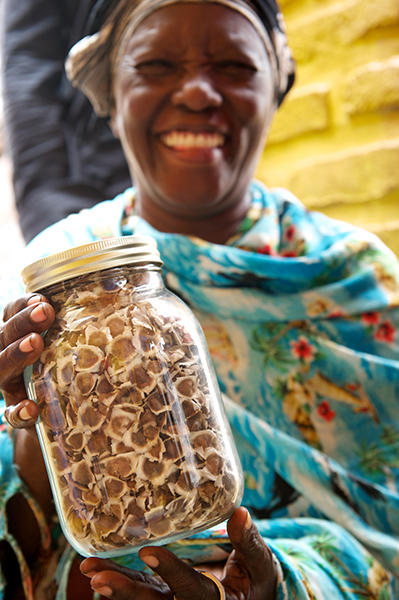 Earthoil produces on-trend African Moringa oil