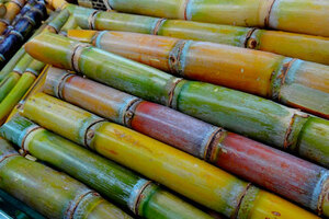 Earthoil uses sugar cane to create ethanol