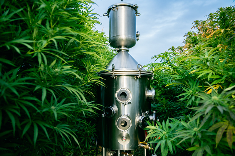 Eden Labs’ AC Braddock Discusses CBD’s Healing Potential