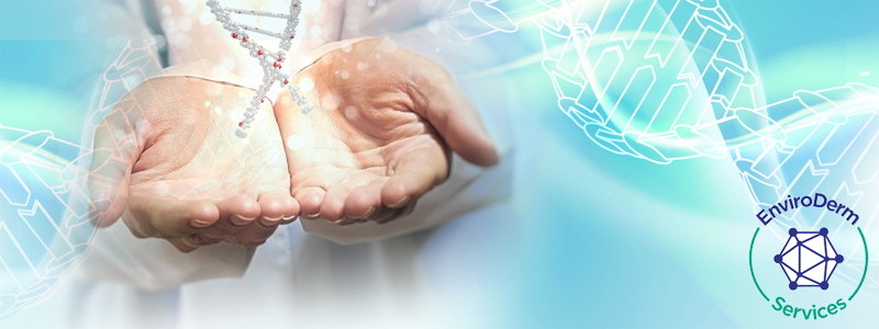 EnviroDerm Services’ Skin Measurement Training Day