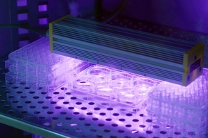Estée Lauder Companies and MIT team up to fuel ingredient innovation in sun care