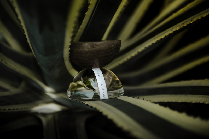 Estée Lauder Companies invests in Mexican luxury fragrance brand XINÚ
