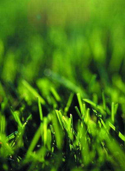 EU calls for study on environmental effects of nanotechnology