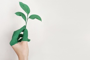 EU reports highest rates for paper and cardboard recycling on Global Recycling Day
