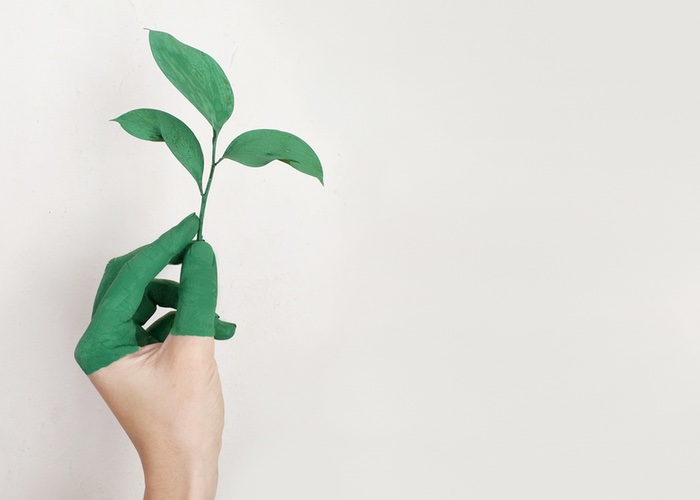 EU reports highest rates for paper and cardboard recycling on Global Recycling Day
