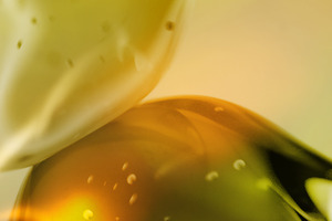 Eurofragance introduces Olivante, its latest proprietary perfumery ingredient