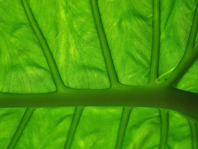 Euromonitor notes increasing demand for natural skincare