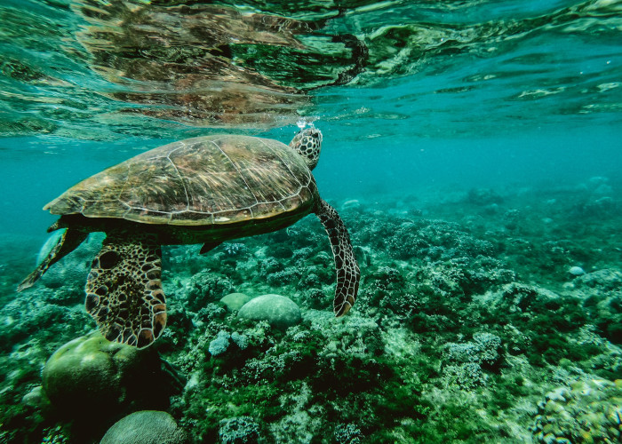 Europe's microplastics phase-out: SEAC draft opinion on restrictions open for consultation
