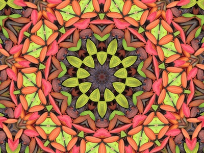 Evonik unveils Sensory Kaleidoscope interactive product development tool