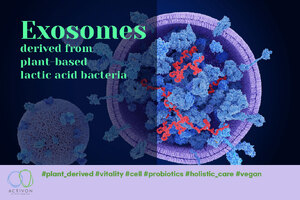 Exosomes derived from plant-based lactic acid bacteria