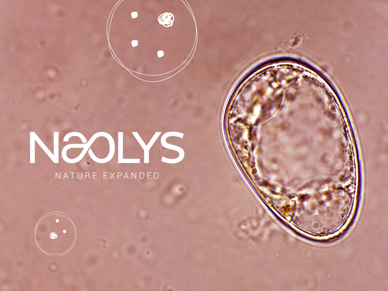 Exosomes: Passing Trend or Transformative Reality?