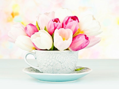 Exploring the relationship between taste and scent
