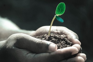 Farming and formulation: The SCS' tips for creating natural cosmetics 