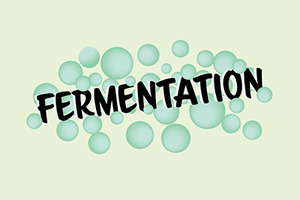 Fermentation product concept launched by Surfachem