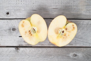 Fighting free radicals: the latest antioxidants on the market 