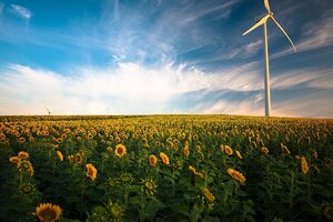 Firmenich achieves industry first with 100% renewable electricity
