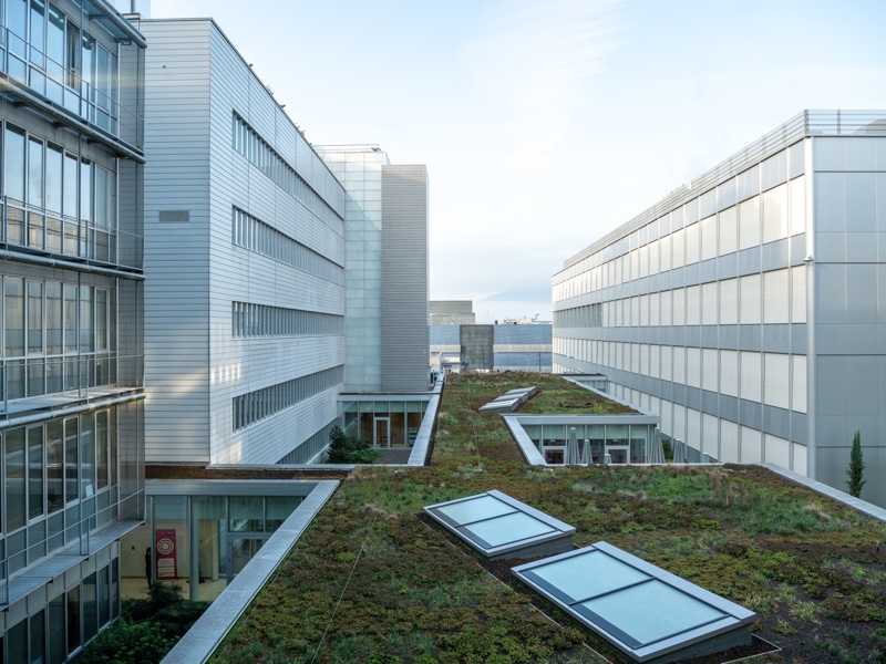 Firmenich eyes global expansion with new Geneva campus