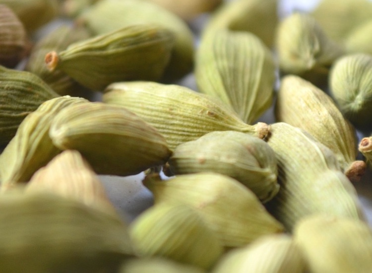 Firmenich partners with raw materials supplier Nelixia  in Central America