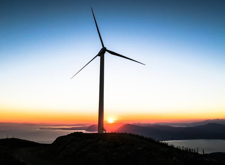 First ever Sustainable Lifestyle Awards opens to brands going the extra eco-friendly mile