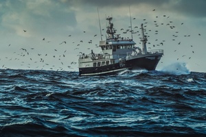Fishing for the truth: What are the sustainability impacts of marine collagen? 

