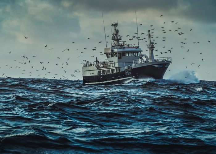 Fishing for the truth: What are the sustainability impacts of marine collagen? 
