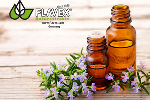 Flavex presents its improved odourless Rosemary Antioxidant extract