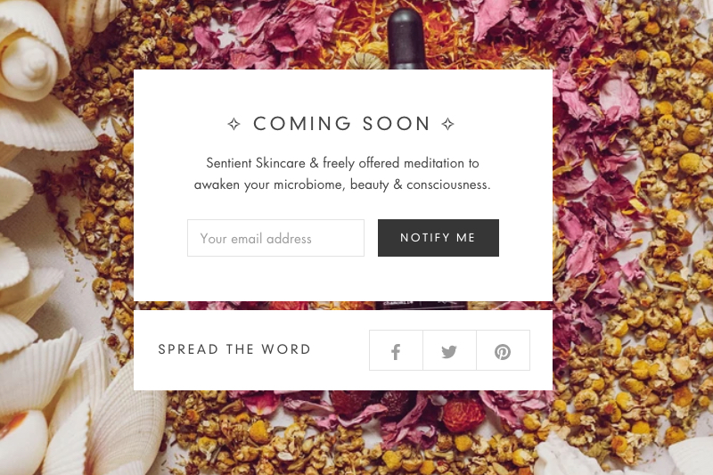 Founders of P&G-owned New Chapter unveil new microbiome project 