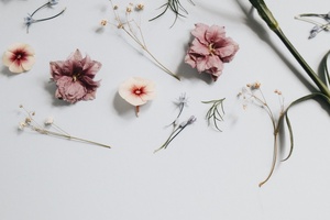 Fragrance industry worth £7bn to the UK economy
