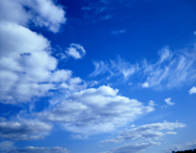 Fragrance – something in the air