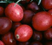 France finds strength in  nutriceuticals 
