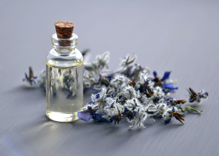 France’s Sozio merges with Phoenix Fragrances to reinforce UK presence
