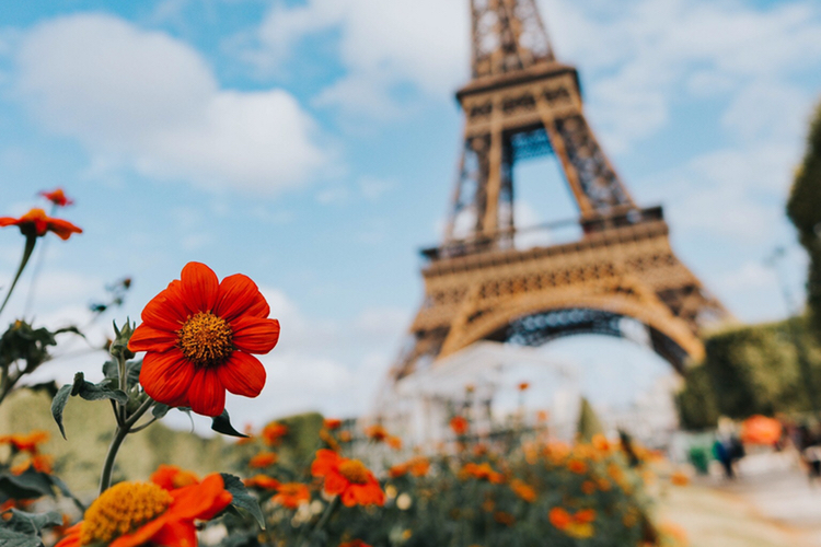 France unveils artisan answer to Black Friday 