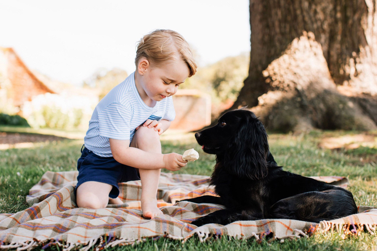 Fresh Prince(ss): 7 brands bringing royal baby care to the people 