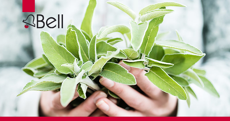 From shrub to tub with Bell Flavors and Fragrances EMEA