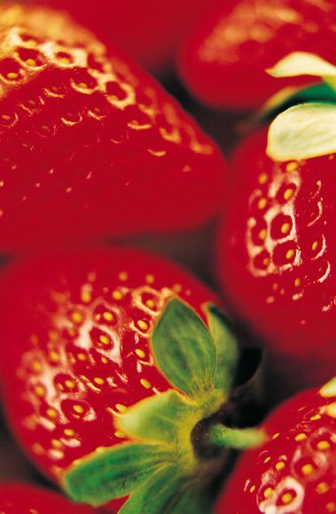 Frutarom buys Oxford Chemicals