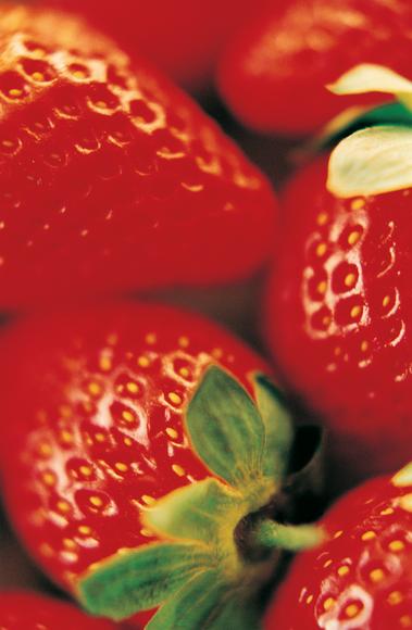 Frutarom purchases Raychan