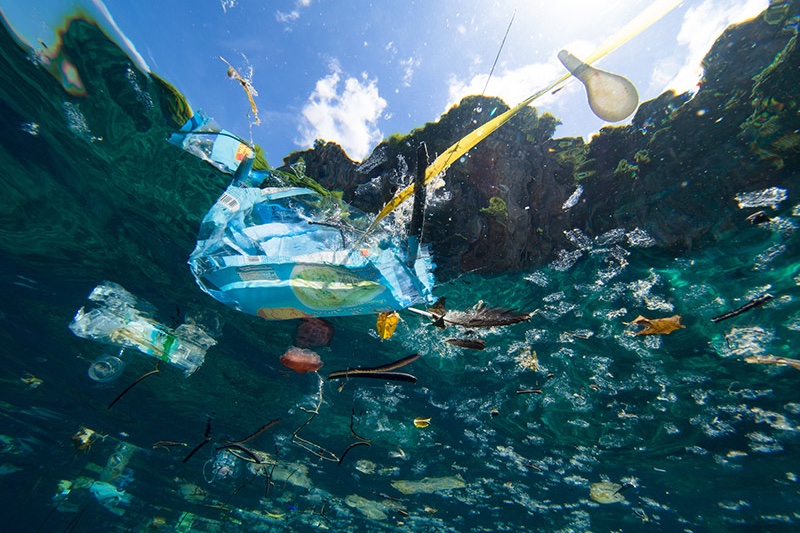 Gaps in North America’s microplastic research emerge 