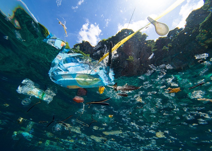 Gaps in North America’s microplastic research emerge 