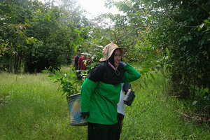 Gattefossé acts on the ground in Indonesia for responsible palm oil