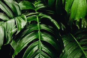 Genomatica closes $118m series C to amplify sustainable materials business
