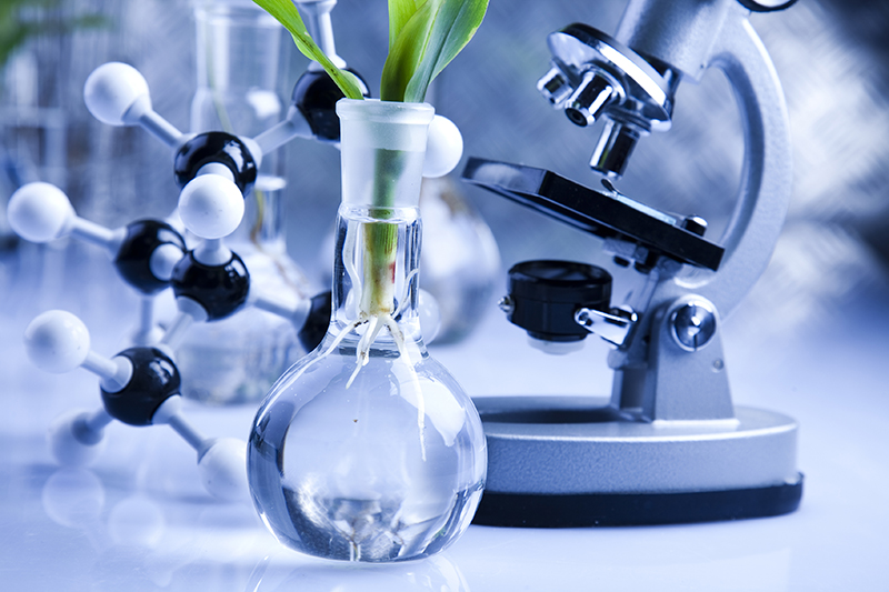 Givaudan Active Beauty exploresnew avenues with vegetal by launching K-phytoTM [SC] Camellia and K-phytoTM [PP] GHK